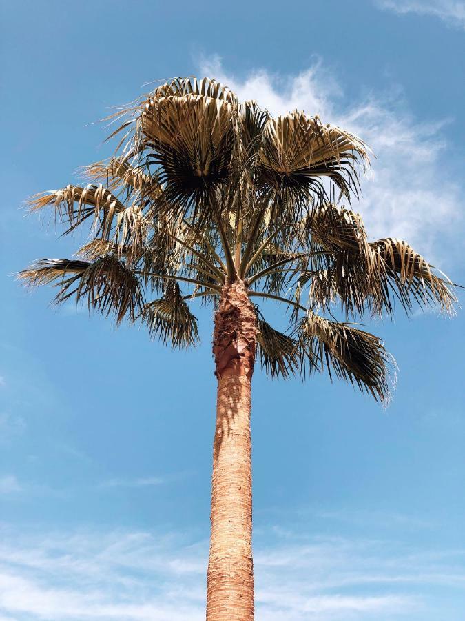 Villa Fernweh - Delta De L'Ebre Riumar Buitenkant foto