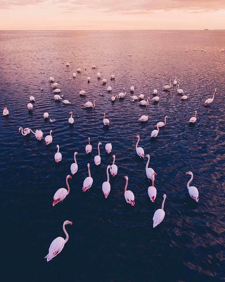 Villa Fernweh - Delta De L'Ebre Riumar Buitenkant foto